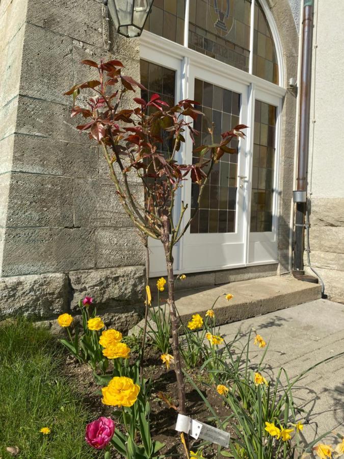 Parkhotel Bad Harzburg Exterior foto